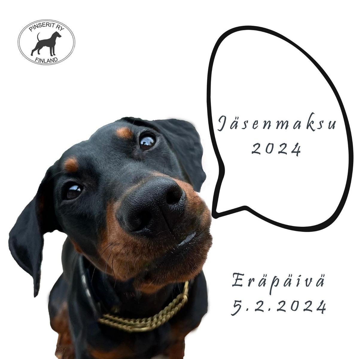 Jäsenmaksu 2024 - Pinserit ry